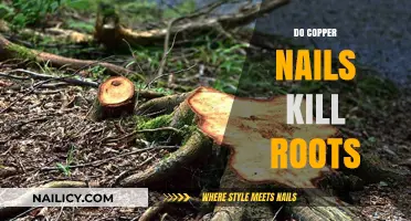 Copper Nails and Roots: Effective Solution or Myth?