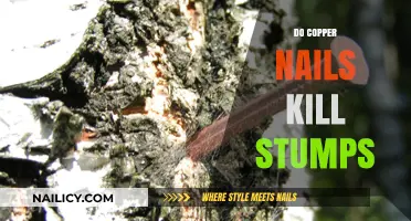 Copper Nails for Stump Removal: Myth or Effective Solution?
