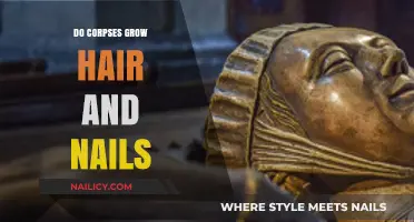 Corpse Hair and Nails: Do They Grow?