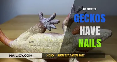 Crested Geckos and Their Unique Feet: Do They Have Nails?