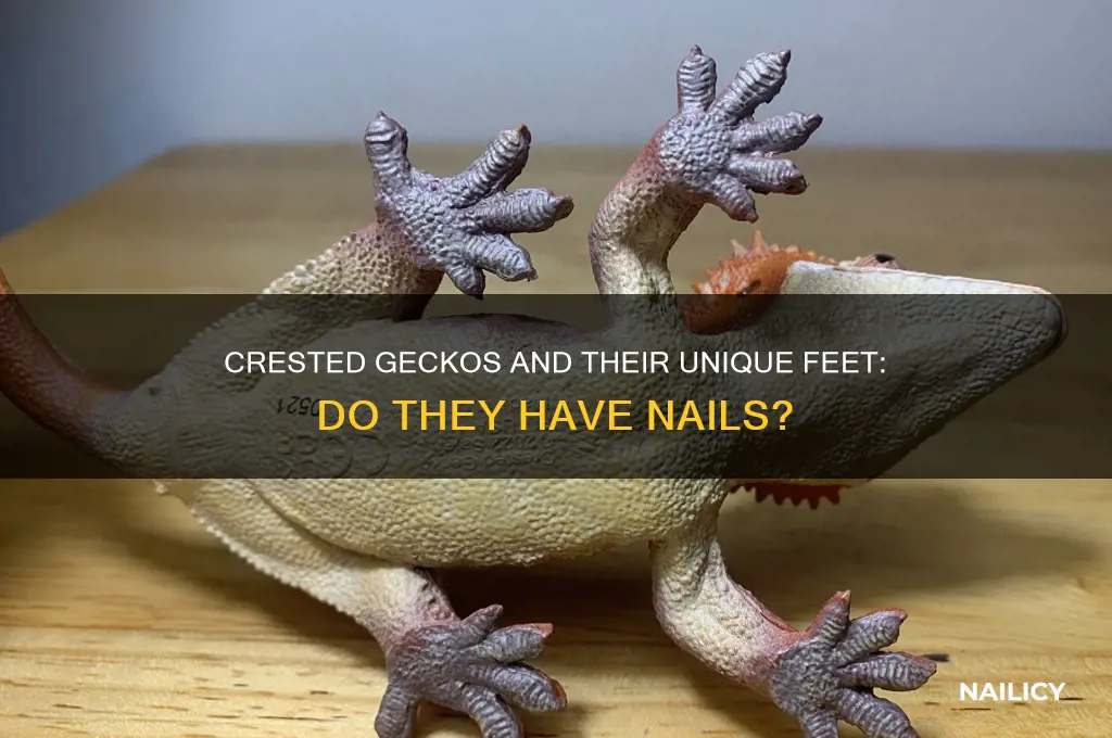 do crested geckos have nails