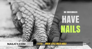 Do Crocodiles Have Nails? Unveiling the Truth About Their Claws