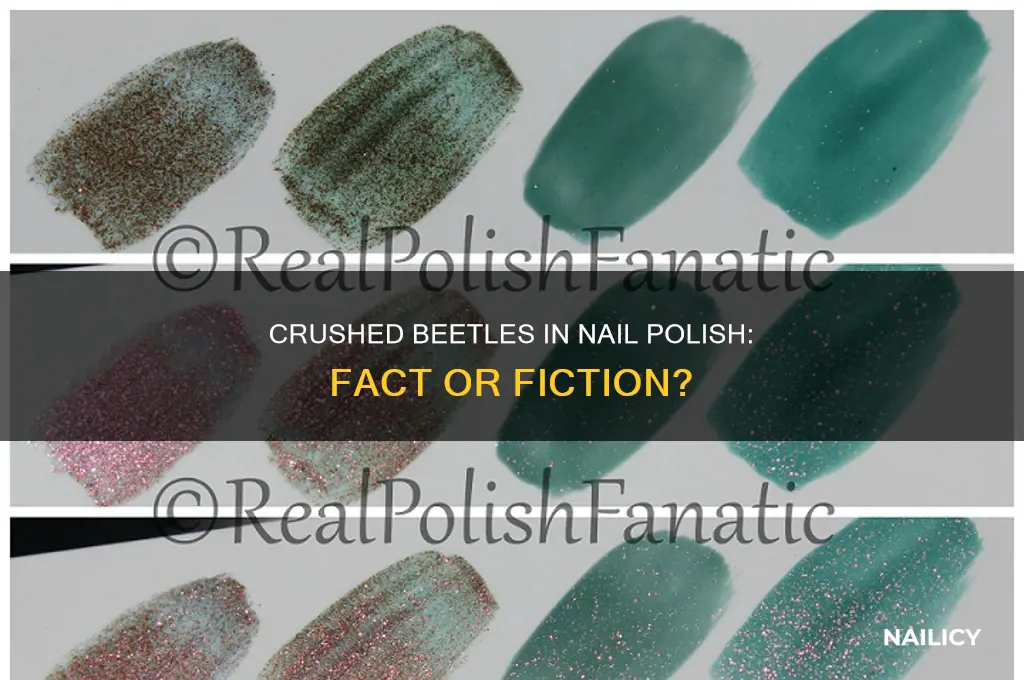 do crushed beetles go in nail polish