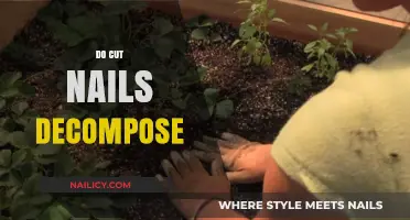 Nail Clippings: Do They Decompose?