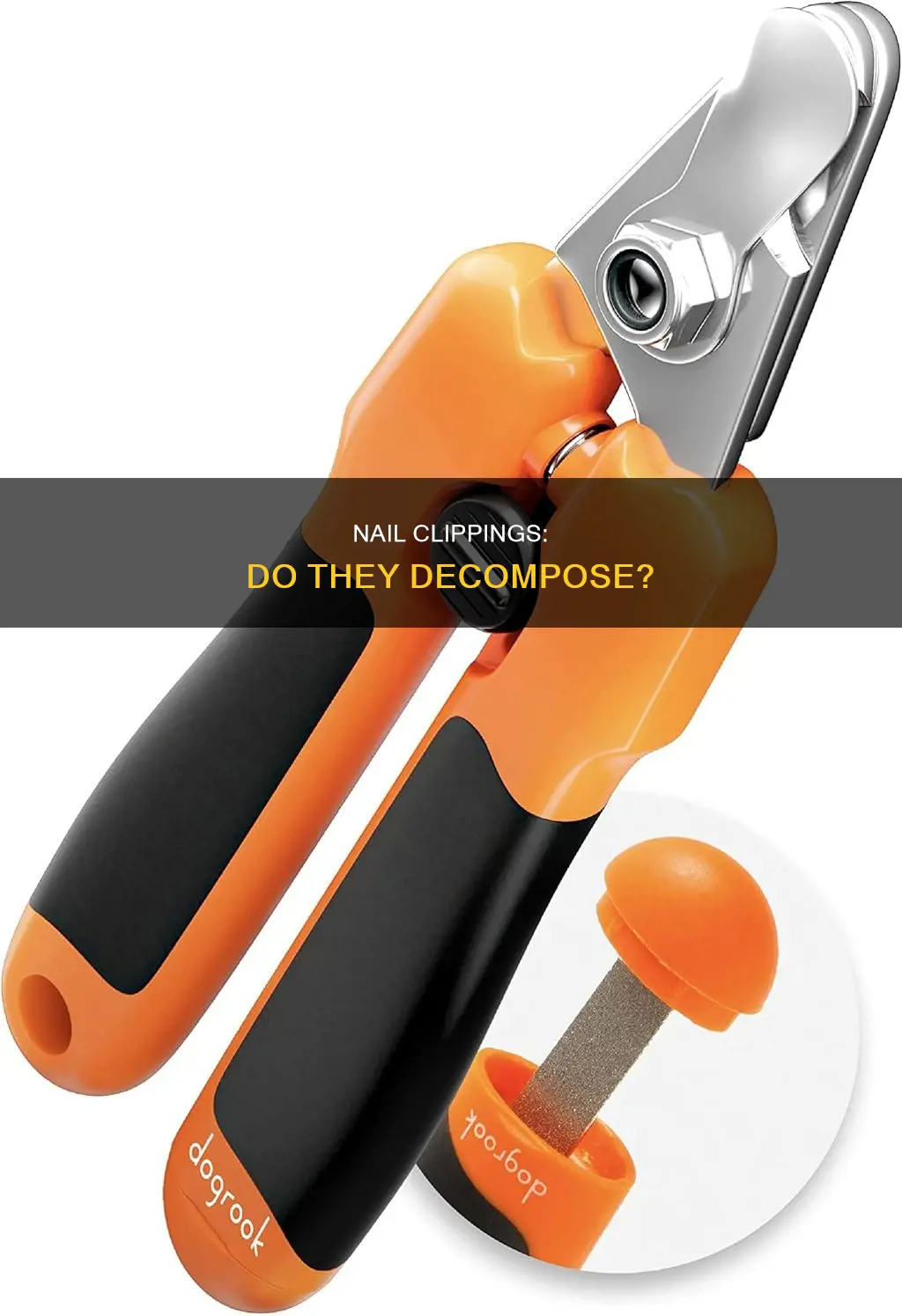 do cut nails decompose