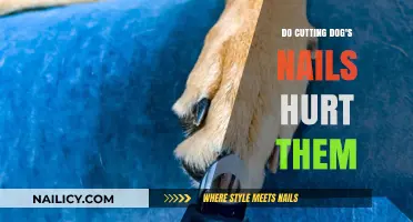 Trimming Dog Nails: Pain or Gain?