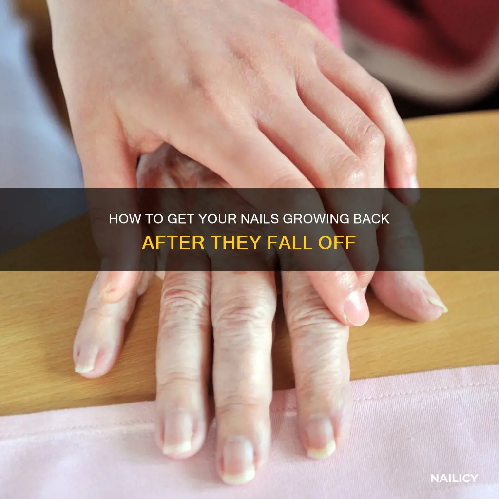 do dead nails grow back