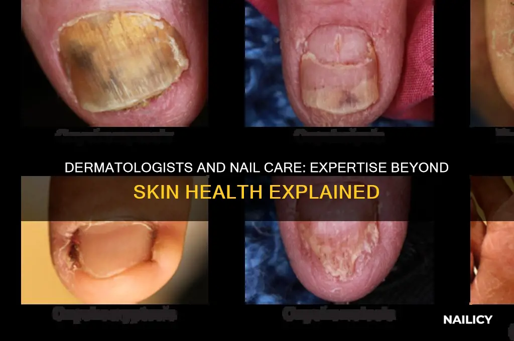 do dermatologist deal with nails