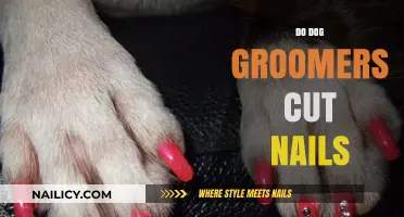 Dog Groomers: Nail Clipping and More