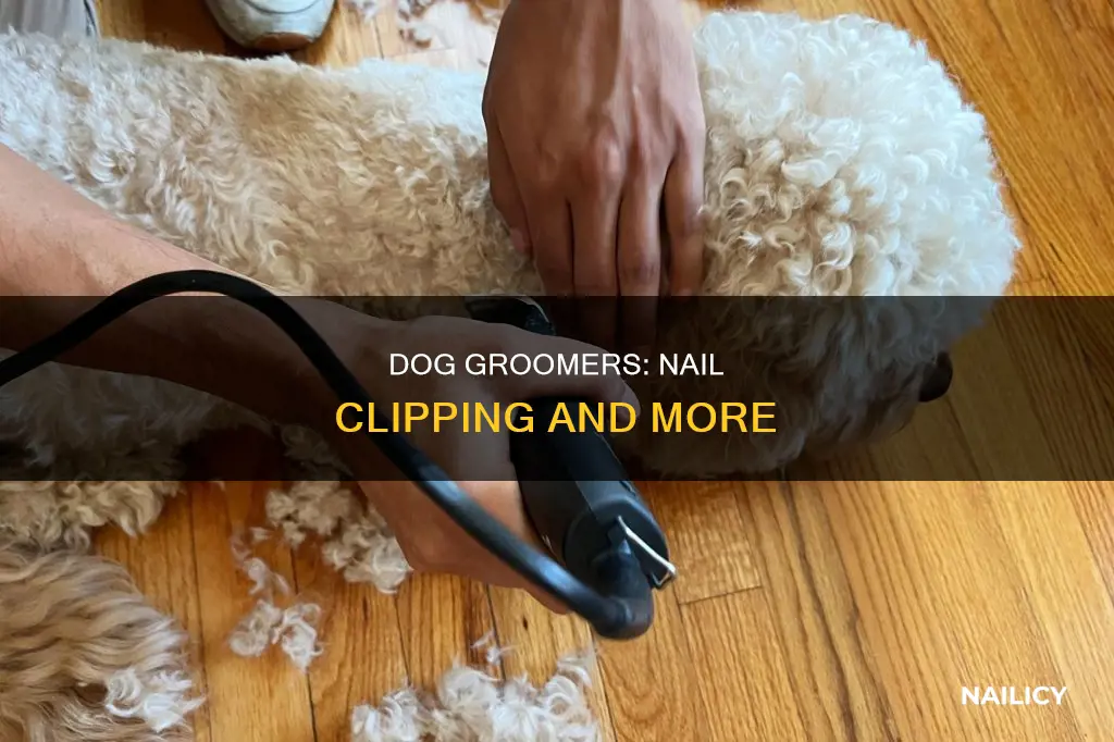 do dog groomers cut nails