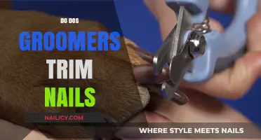 Dog Groomers: Nail Trimming and Other Services