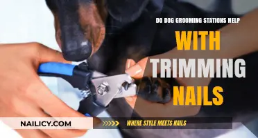 Dog Grooming Stations: Easy Nail Trimming Solutions