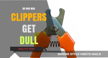 Do Dog Nail Clippers Get Dull? A Comprehensive Guide for Pet Owners