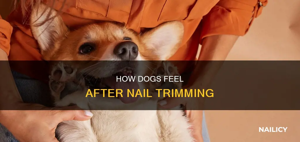 do dogs feel better after nail trimming