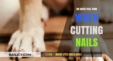 How Painful Is Dog Nail Clipping?