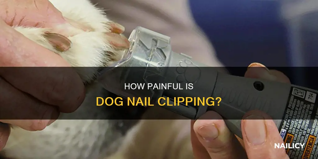 do dogs feel pain when cutting nails