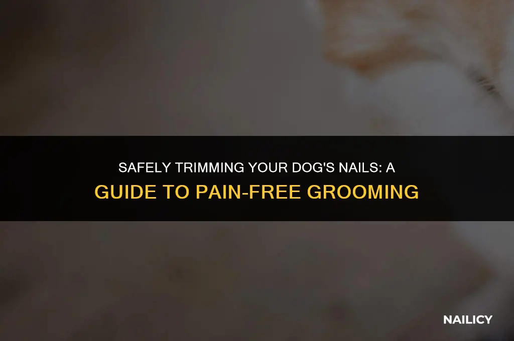 do dogs get hurt when you cut their nails