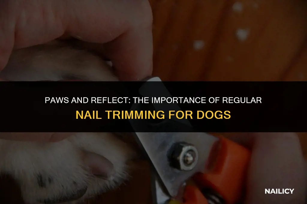do dogs get nails clipped