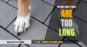 Dog Limping: Are Overgrown Nails the Culprit?