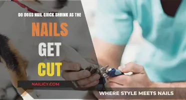 Shrinking Canine Claws: The Truth Behind Nail Trimming