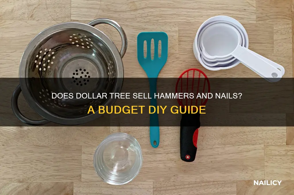 do dollar tree have hammer and nails