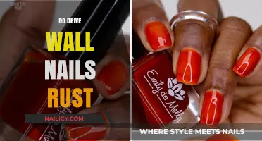 Do Drive Wall Nails Rust? Understanding Durability and Prevention Tips