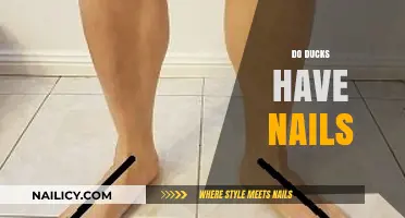 Do Ducks Have Nails? Uncovering the Truth About Their Feet