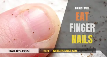 The Surprising Truth: Do Dust Mites Feast on Finger Nails?