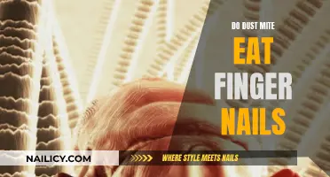 Dust Mites and Finger Nails: What's the Connection?