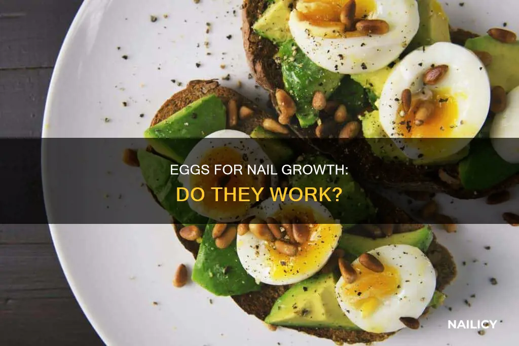do eggs help your nails grow