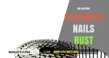 Do Electro-Galvanized Nails Rust? A Comprehensive Guide to Durability