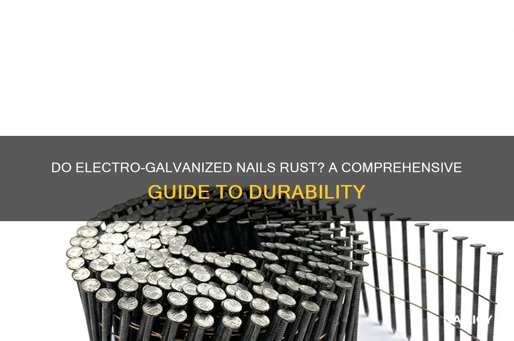 do electro galvanized nails rust