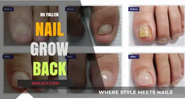 Nail Falls Off: Will It Grow Back?