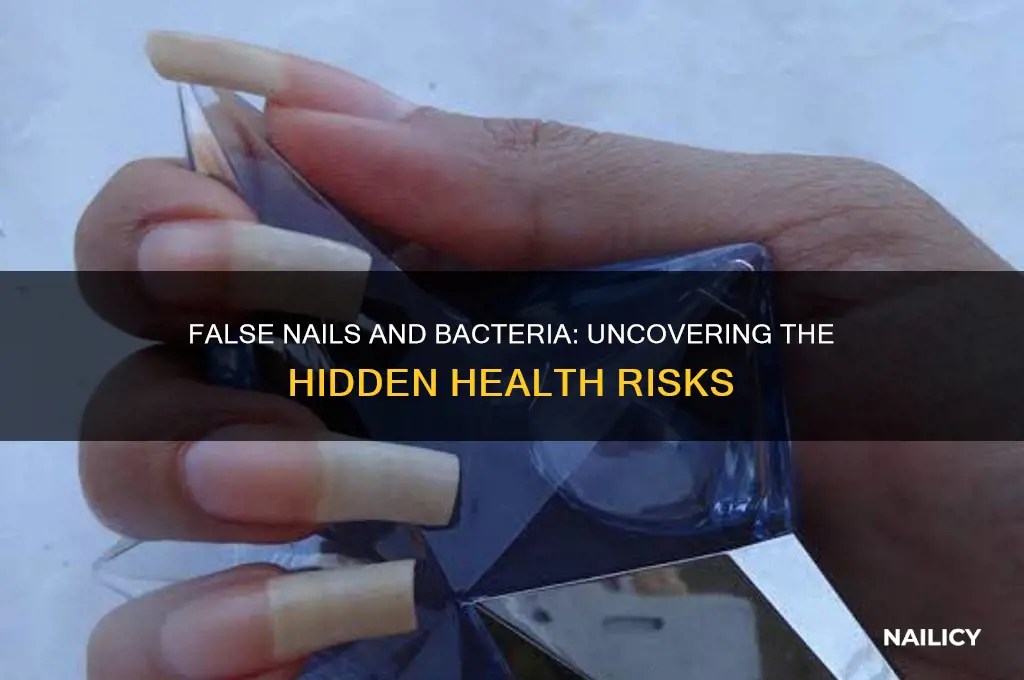 do false nails harbour bacteria