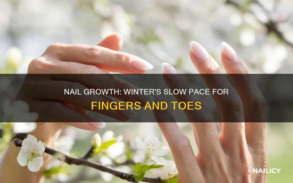 do finger and toe nails grow slower in te winter