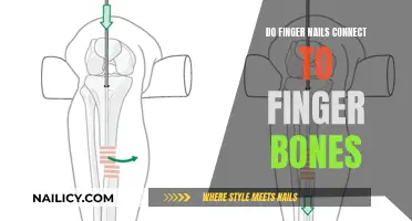 Finger Bones and Nails: The Connection You Never Knew Existed