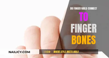 Exploring the Intriguing Link Between Fingernails and Finger Bones