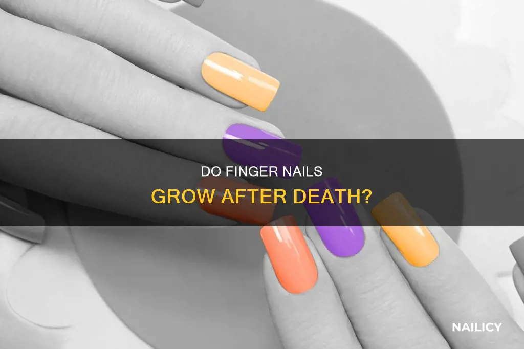 do finger nails grow after death