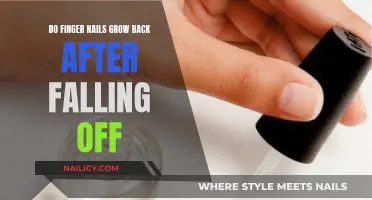 Regrowing Fingernails: What to Know and Expect