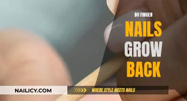 Regrowing Fingernails: What You Need to Know