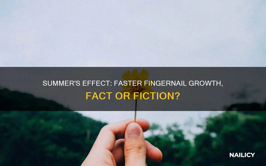 do finger nails grow faster in the summer