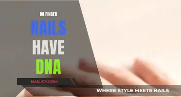 Finger Nails: DNA Storage and Forensic Clues