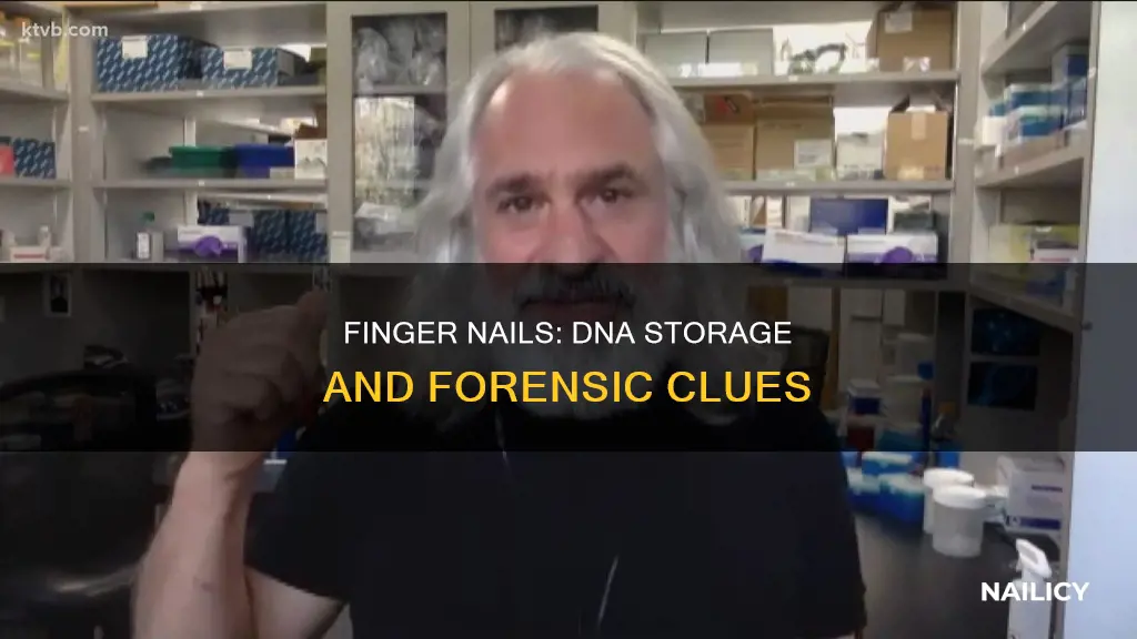 do finger nails have dna