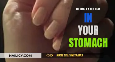 Do Finger Nails Stay in Your Stomach? Unraveling the Mystery