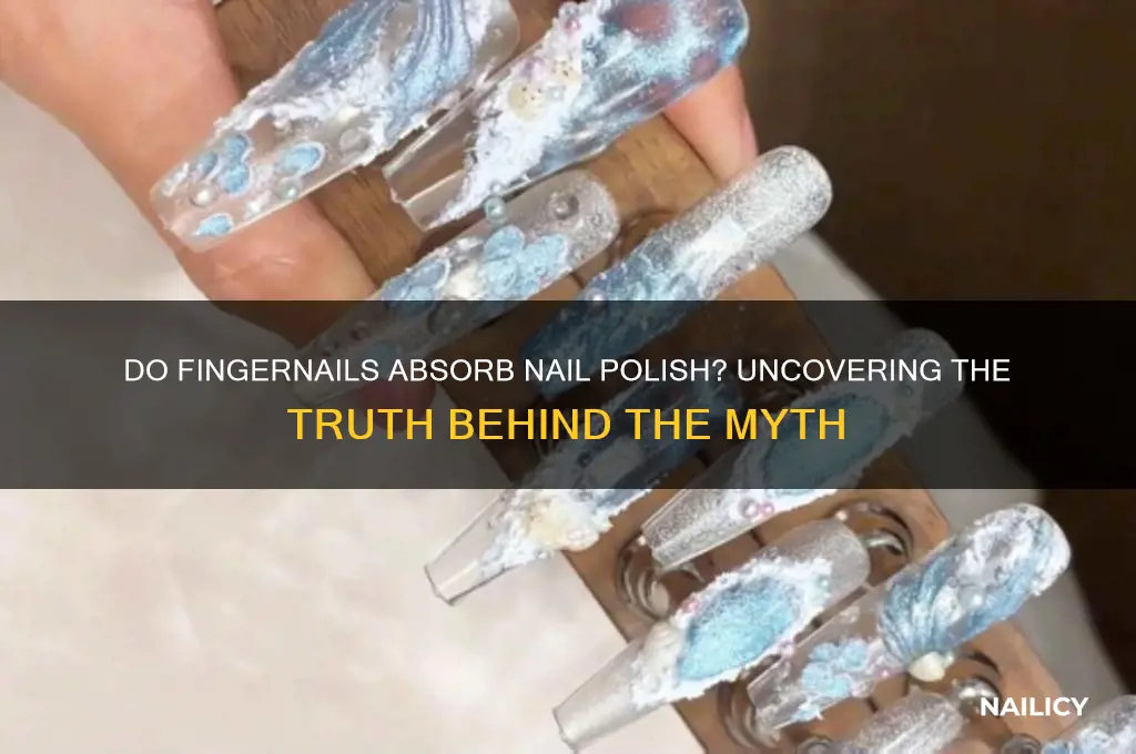 do fingernails absorb nail polish