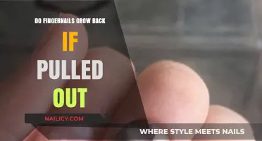 Will My Fingernails Grow Back After Being Pulled Out?