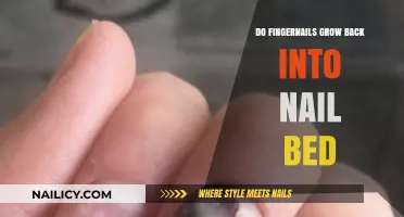 Fingernails Regrowing: Can They Reattach to Nail Beds?