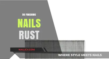 Do Finishing Nails Rust? Understanding Corrosion and Prevention Tips