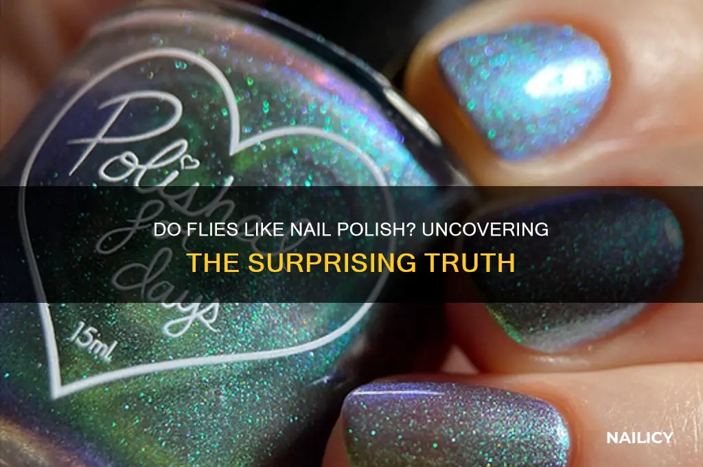 do flies like nail polish
