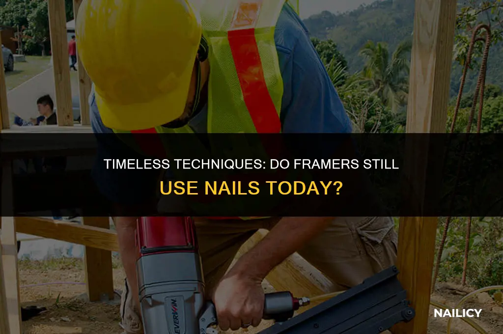 do framers still use nails